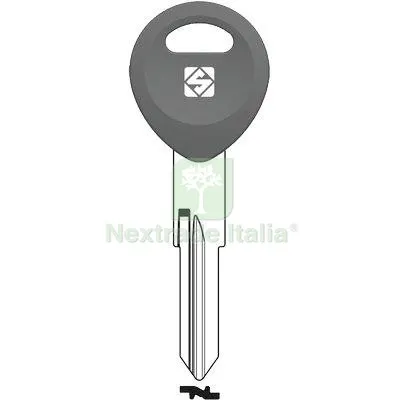 5PZ CHIAVE AUTO HONDA ZD40RDP SILCA OTTONE NICHELATO Mat Ottone — Chiavi e ricambi auto — rif. FERX.VIR8600196 5PZ CHIAVE AUTO HONDA ZD40RDP SILCA OTTONE NICHELATO Mat Ottone — Chiavi e ricambi auto — rif. FERX.VIR8600196