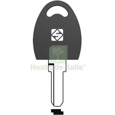 5PZ CHIAVE PUNZONATA MERONI RC26RP SILCA OTTONE NICHELATO Mat Ottone — Serrature e cilindri — rif. FERX.VIR8600271 5PZ CHIAVE PUNZONATA MERONI RC26RP SILCA OTTONE NICHELATO Mat Ottone — Serrature e cilindri — rif. FERX.VIR8600271