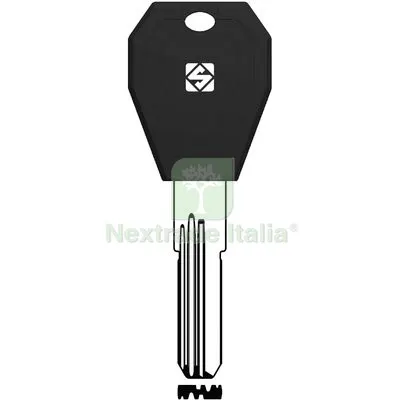 5PZ Chiave Punzonata Tilanco TLC4RP Silca Ottone Nichelato Mat Ottone — Serrature e cilindri — rif. FERX.VIR8600273 5PZ Chiave Punzonata Tilanco TLC4RP Silca Ottone Nichelato Mat Ottone — Serrature e cilindri — rif. FERX.VIR8600273