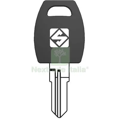 5PZ Chiave Piatta Meroni MER44RP Silca Ottone Nichelato Mat Ottone — Serrature e cilindri — rif. FERX.VIR8600282 5PZ Chiave Piatta Meroni MER44RP Silca Ottone Nichelato Mat Ottone — Serrature e cilindri — rif. FERX.VIR8600282