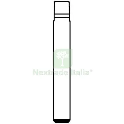 Chiave Flip Auto Opel HU100T Silca Ottone Nichelato Mat Ottone — Serrature e cilindri — rif. FERX.VIR8600283 Chiave Flip Auto Opel HU100T Silca Ottone Nichelato Mat Ottone — Serrature e cilindri — rif. FERX.VIR8600283