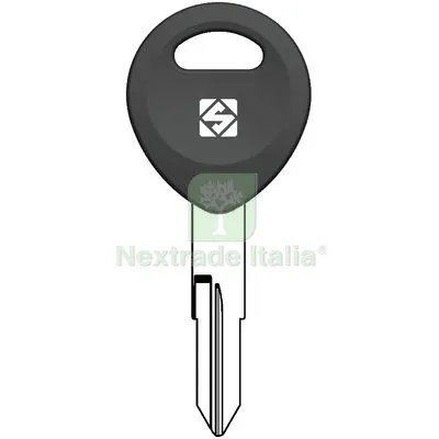 5PZ CHIAVE AUTO HONDA HON92RSP SILCA ACCIAIO NICHELATO — Chiavi e ricambi auto — rif. FERX.VIR8600294 5PZ CHIAVE AUTO HONDA HON92RSP SILCA ACCIAIO NICHELATO — Chiavi e ricambi auto — rif. FERX.VIR8600294