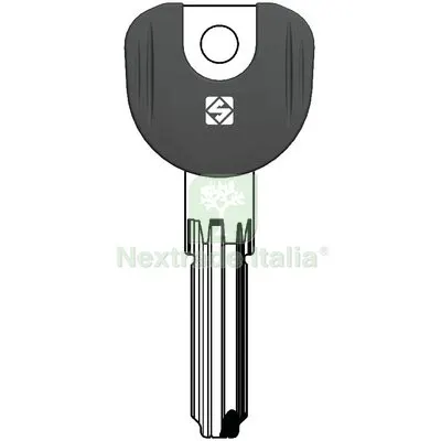 5PZ Chiave Punzonata Titan TN58P Silca Ottone Nichelato — Serrature e cilindri — rif. FERX.VIR8610377