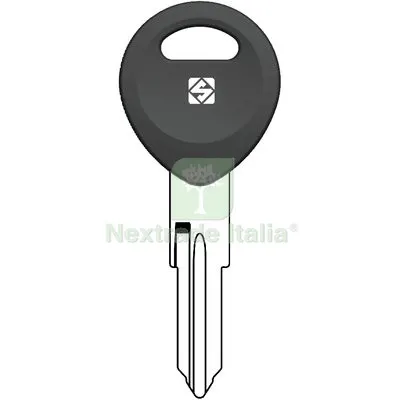 5PZ CHIAVE AUTO BENELLI BNE1RP SILCA OTTONE — Chiavi e ricambi auto — rif. FERX.VIR8610389 5PZ CHIAVE AUTO BENELLI BNE1RP SILCA OTTONE — Chiavi e ricambi auto — rif. FERX.VIR8610389