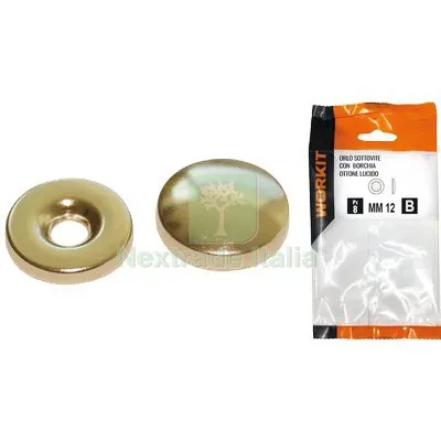 5CF ORLO SOTTOVITE + BORCHIA OTTONE LUCIDO SELF WORKIT MM 18 CF=PZ 8 — Viti — rif. FERX.VIR9001203 5CF ORLO SOTTOVITE + BORCHIA OTTONE LUCIDO SELF WORKIT MM 18 CF=PZ 8 — Viti — rif. FERX.VIR9001203