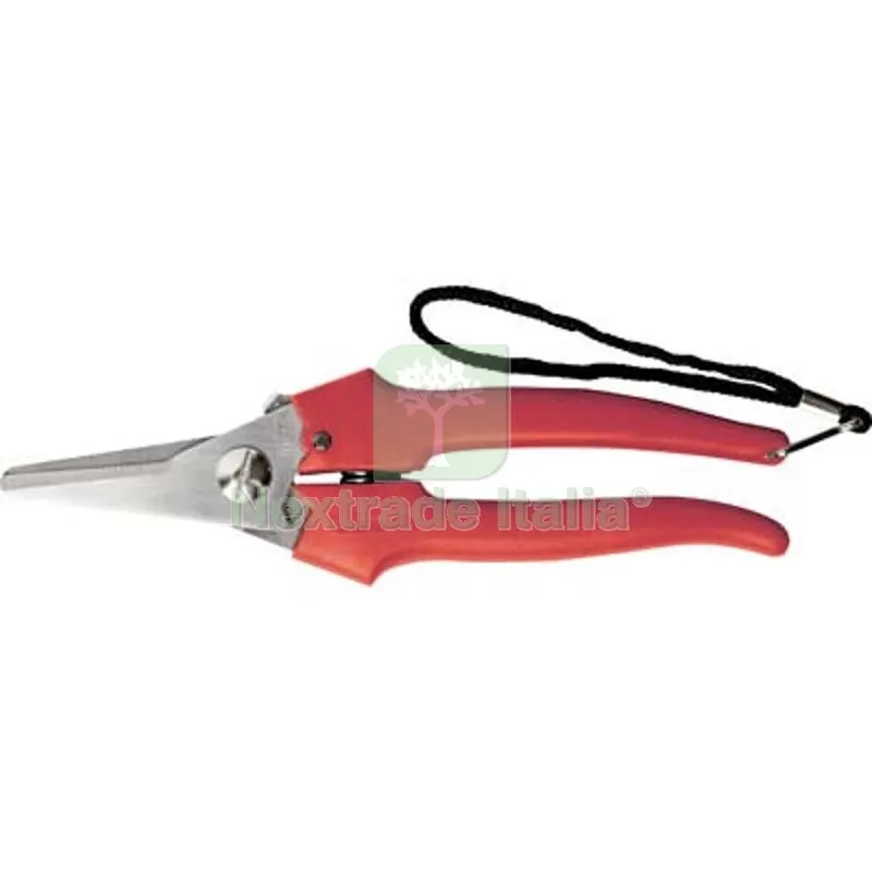 12PZ FORBICE RACCOLTA A PUNTA LARGA AUSONIA CM 19 — Attrezzi da giardino — rif. FERX.VIR1234020 12PZ FORBICE RACCOLTA A PUNTA LARGA AUSONIA CM 19 — Attrezzi da giardino — rif. FERX.VIR1234020