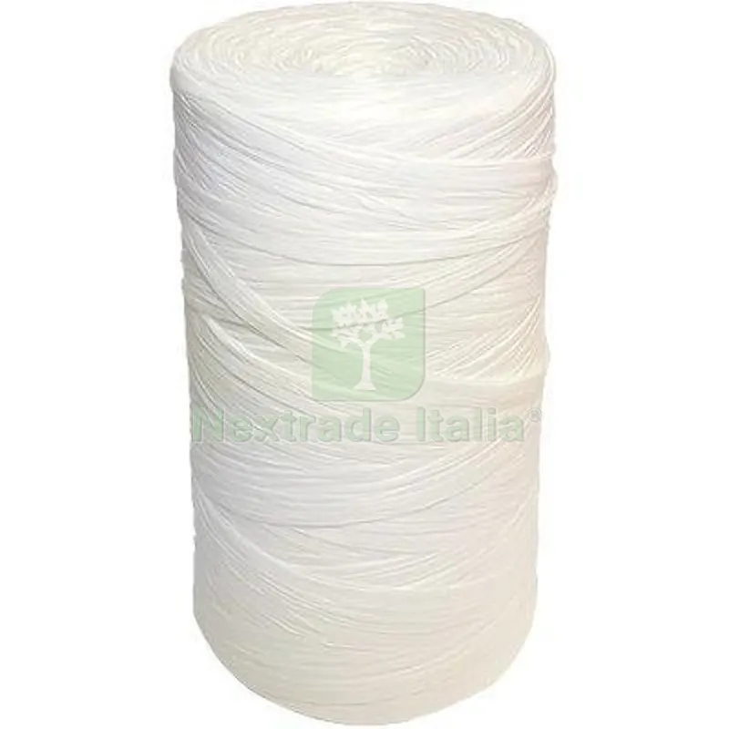 10PZ RAFIA SINTEX SELF AVORIO GR 200 CA Colore Avorio — Attrezzi da giardino — rif. FERX.VIR1517104 10PZ RAFIA SINTEX SELF AVORIO GR 200 CA Colore Avorio — Attrezzi da giardino — rif. FERX.VIR1517104