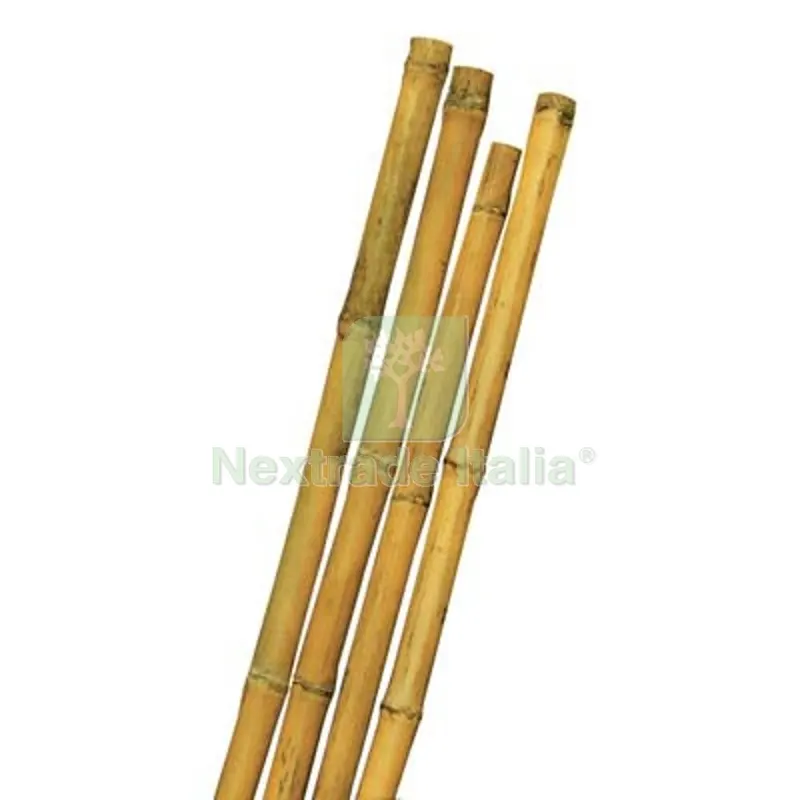 50PZ TUTORE CANNA BAMBOO STARS MM MAX 24 H.CM 180 Ø Mm 22/24 — Accessori recinzione — rif. FERX.VIR6203503 50PZ TUTORE CANNA BAMBOO STARS MM MAX 24 H.CM 180 Ø Mm 22/24 — Accessori recinzione — rif. FERX.VIR6203503