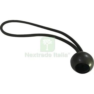 5CF ELASTICO TENDI TELO WORKIT CM 30 CF=PZ 6 — Protezione piante e sementi — rif. FERX.VIR7518407 5CF ELASTICO TENDI TELO WORKIT CM 30 CF=PZ 6 — Protezione piante e sementi — rif. FERX.VIR7518407