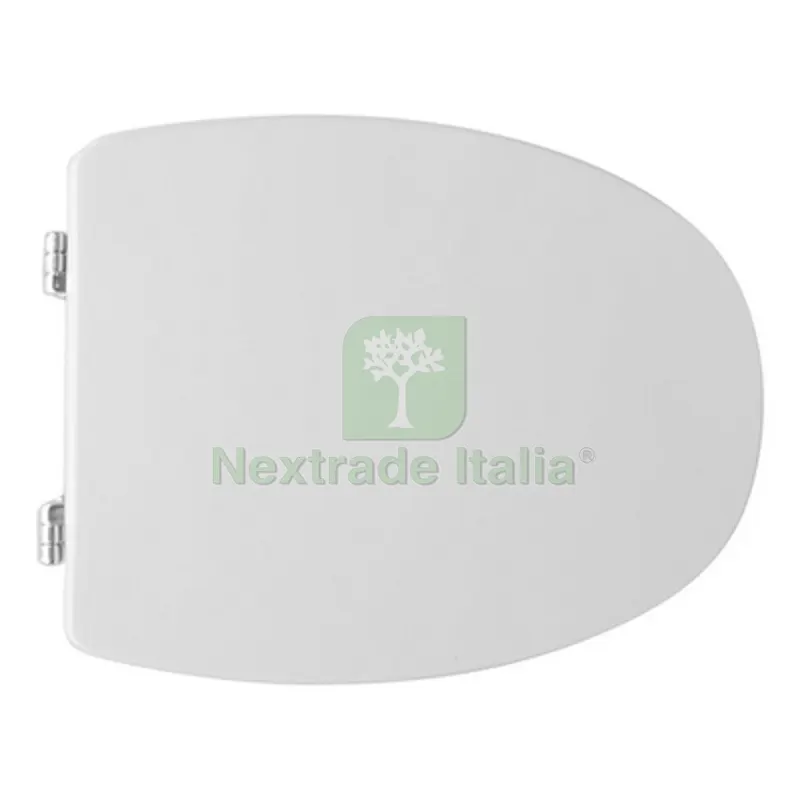 SEDILE WC PER FLAMINIA VASO SPIN BIANCO FORMA 6 Bianco — Sanitari e ceramiche — rif. FERX.DIA111-22FSP SEDILE WC PER FLAMINIA VASO SPIN BIANCO FORMA 6 Bianco — Sanitari e ceramiche — rif. FERX.DIA111-22FSP