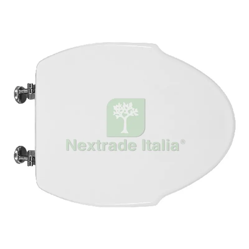 SEDILE WC PER GSI VASO OCEANO 1 FORMA 10 Bianco - Cerniere A passanti — Sanitari e ceramiche — rif. FERX.DIA111-22GOC1-33 SEDILE WC PER GSI VASO OCEANO 1 FORMA 10 Bianco - Cerniere A passanti — Sanitari e ceramiche — rif. FERX.DIA111-22GOC1-33