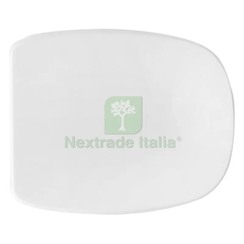 SEDILE WC PER POZZI GINORI VASO QUINTA BIANCO FORMA 6 Bianco — Sanitari e ceramiche — rif. FERX.DIA111-22PQU SEDILE WC PER POZZI GINORI VASO QUINTA BIANCO FORMA 6 Bianco — Sanitari e ceramiche — rif. FERX.DIA111-22PQU