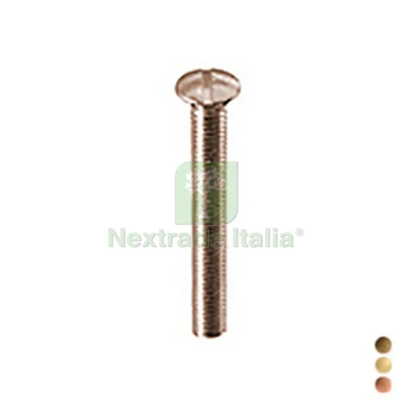 VITE PER PIASTRA A PAVIMENTO L. 70 mm Dorata — Viti — rif. FERX.DIA126-KP355-DR VITE PER PIASTRA A PAVIMENTO L. 70 mm Dorata — Viti — rif. FERX.DIA126-KP355-DR