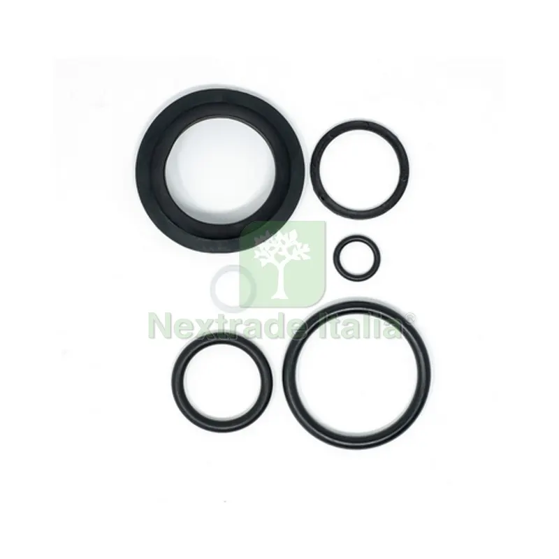 Kit Guarnizioni Catis NEW Junior E1201 - — Guarnizioni e tenute — rif. FERX.DIA131-721