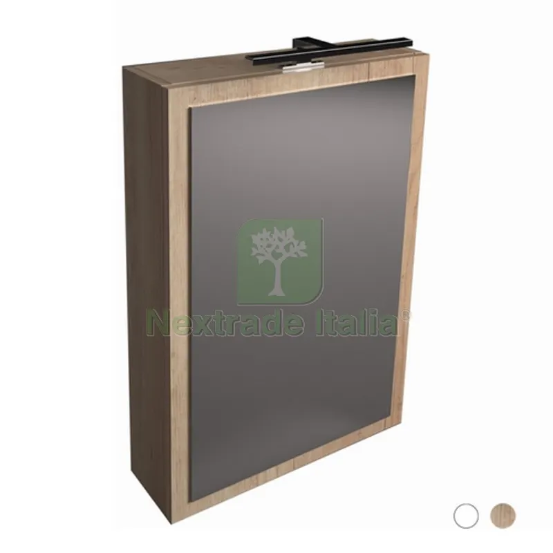 SPECCHIO CONTENITORE VERTICALE Olmo montano - LxHxP 50x70x15 — Accessori bagno — rif. FERX.DIA145-206-LM SPECCHIO CONTENITORE VERTICALE Olmo montano - LxHxP 50x70x15 — Accessori bagno — rif. FERX.DIA145-206-LM