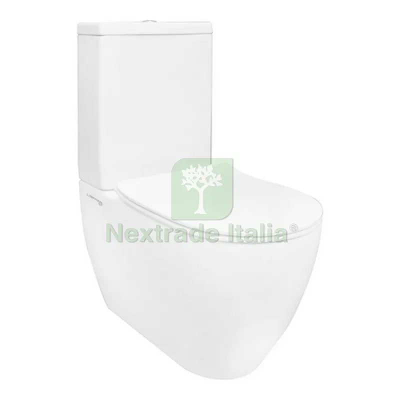 Vaso Monoblocco Greta Filo Muro Rimless C/Cassetta Bianco — Casalinghi e organizzazione — rif. FERX.DIA181-GR471 Vaso Monoblocco Greta Filo Muro Rimless C/Cassetta Bianco — Casalinghi e organizzazione — rif. FERX.DIA181-GR471