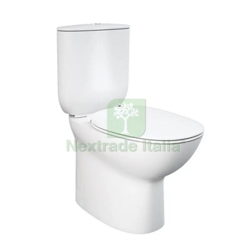 Vaso Monoblocco Filo Muro Rimless Morning Scarico Universale — Vasi e fioriere — rif. FERX.DIA181-R470 Vaso Monoblocco Filo Muro Rimless Morning Scarico Universale — Vasi e fioriere — rif. FERX.DIA181-R470