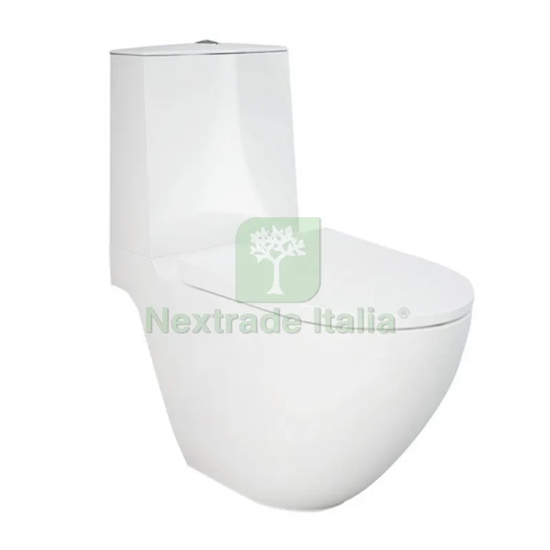 Vaso Monoblocco DES a Pavimento Rimless Fissaggi Nascosti - — Vasi e fioriere — rif. FERX.DIA182-B420 Vaso Monoblocco DES a Pavimento Rimless Fissaggi Nascosti - — Vasi e fioriere — rif. FERX.DIA182-B420