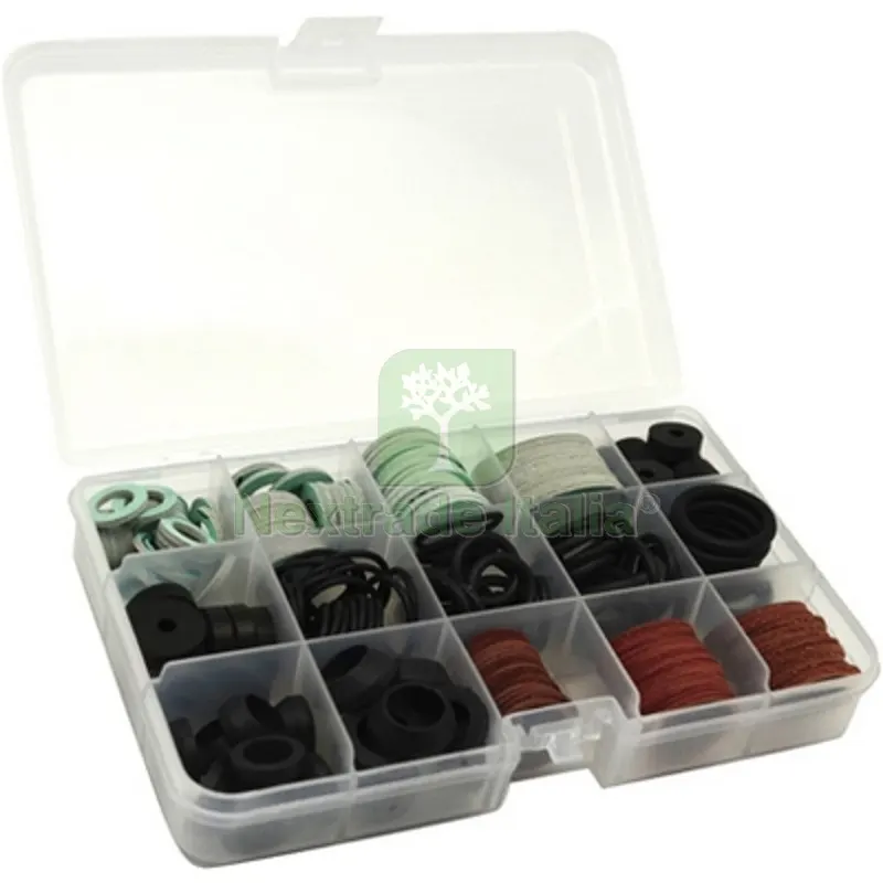 Scatola Assortita 222 PZ Guarnizioni in 15 Mini-Box - — Guarnizioni e tenute — rif. FERX.DIA200-2524 Scatola Assortita 222 PZ Guarnizioni in 15 Mini-Box - — Guarnizioni e tenute — rif. FERX.DIA200-2524