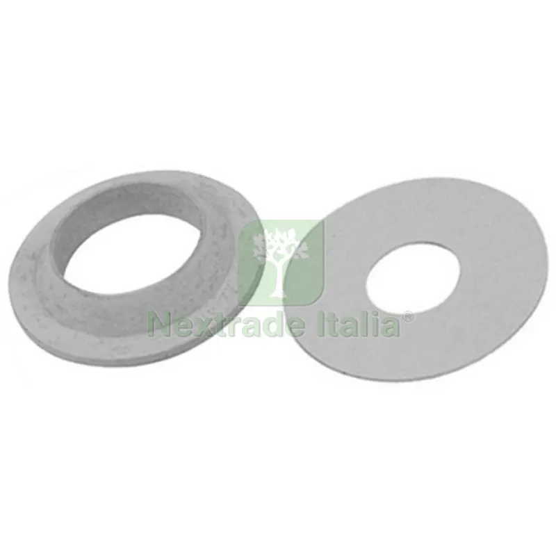 SERIE GUARNIZIONI 2 PEZZI (1100+1110) 1" — Ricambi e accessori macchine da giardino — rif. FERX.DIA200-M1115-06