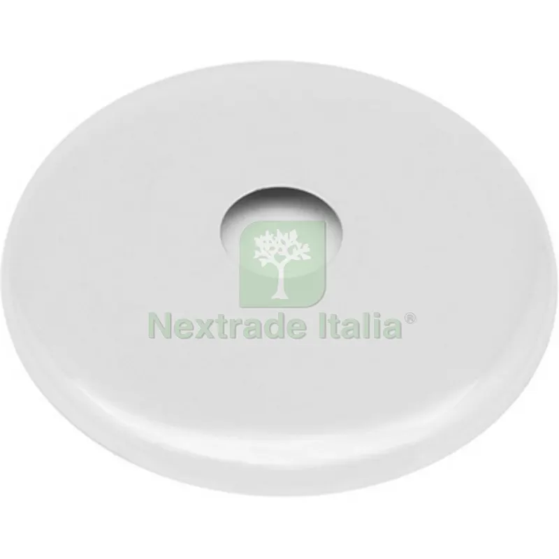 ROSONE GIGANTE IN OTTONE DM. ESTERNO 110 Diam. 26 — Scarichi e sifoni — rif. FERX.DIA210-434-26 ROSONE GIGANTE IN OTTONE DM. ESTERNO 110 Diam. 26 — Scarichi e sifoni — rif. FERX.DIA210-434-26