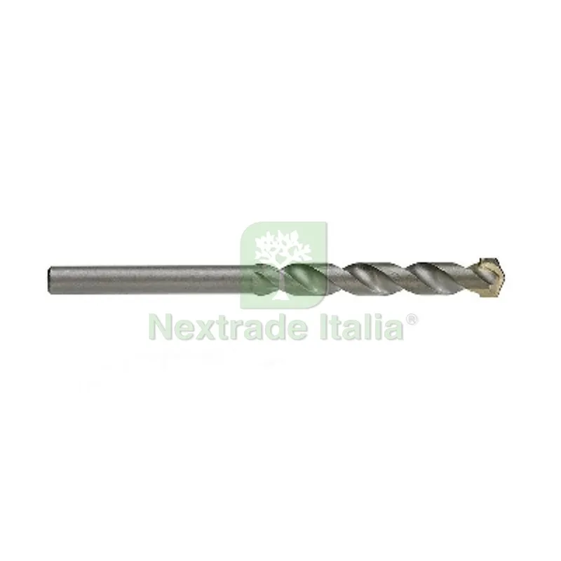 + PUNTE D-S IN ACCIAIO PER MURO 10 x 120 (pz 1) — Punte, frese e dischi — rif. FERX.DIA213-PMN-10120 + PUNTE D-S IN ACCIAIO PER MURO 10 x 120 (pz 1) — Punte, frese e dischi — rif. FERX.DIA213-PMN-10120