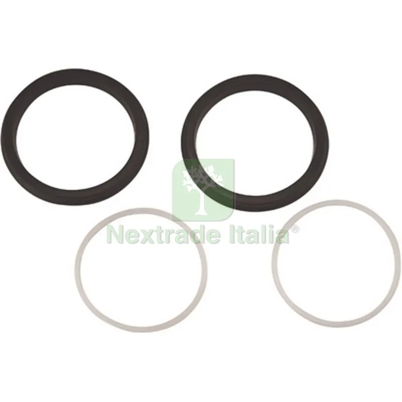 Kit 4 PZ Guarnizioni di Ricambio per Miscelatori Lavello - — Guarnizioni e tenute — rif. FERX.DIA230-R9833