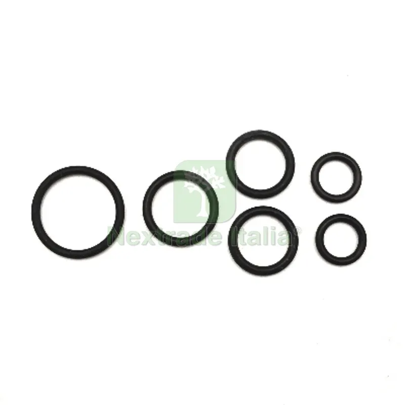 Kit di O-Ring per Riparazione Rubinetti a Pedale - — Guarnizioni e tenute — rif. FERX.DIA242-1635 Kit di O-Ring per Riparazione Rubinetti a Pedale - — Guarnizioni e tenute — rif. FERX.DIA242-1635