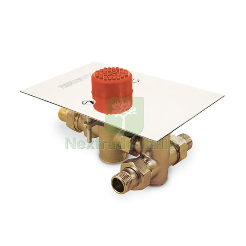 Pulsante a Pavimento Miscelatore Termostatico - — Rubinetti e valvole — rif. FERX.DIA242-R530 Pulsante a Pavimento Miscelatore Termostatico - — Rubinetti e valvole — rif. FERX.DIA242-R530