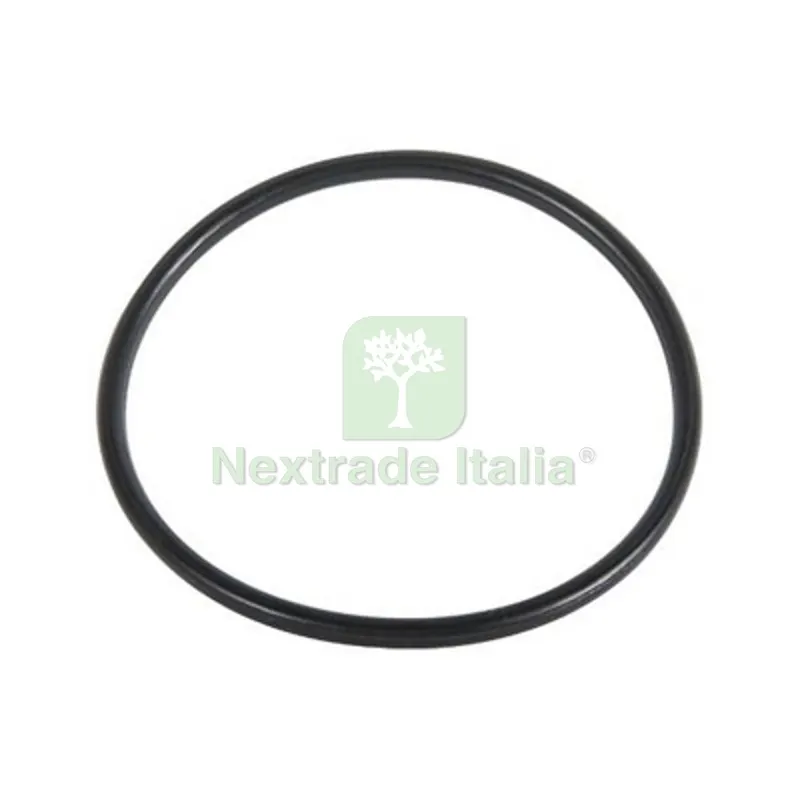 O.RING PER FILTRO 244-HYMFI 48.90 x 2.62 - Tipo E — Protezioni corpo — rif. FERX.DIA244-HOR-E