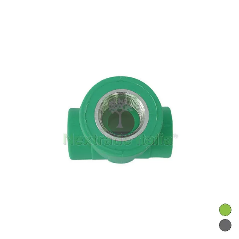 TEE Filettato Femmina in Polipropilene 1/2 x Diam. 25 — Pile e batterie — rif. FERX.DIA300-482-0425 TEE Filettato Femmina in Polipropilene 1/2 x Diam. 25 — Pile e batterie — rif. FERX.DIA300-482-0425