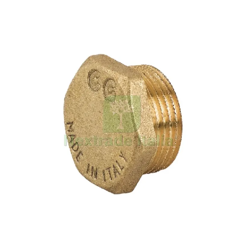 TAPPO MASCHIO CON ESAGONO IN OTTONE GIALLO 1" — Scarichi e sifoni — rif. FERX.DIA319-C020-06
