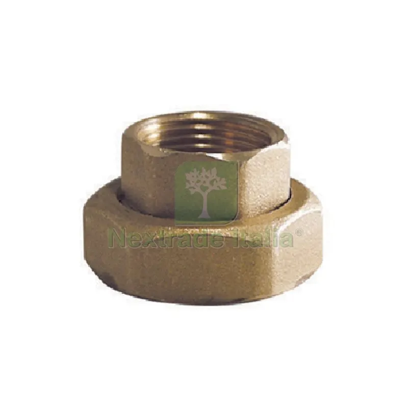 2PZ CODOLO F SEDE PIANA CON CALOTTA PER CIRCOLATORI + GUARNIZIONE 3/4F x 1"1/2 — Guarnizioni e tenute — rif. FERX.DIA319-R5003-0508 2PZ CODOLO F SEDE PIANA CON CALOTTA PER CIRCOLATORI + GUARNIZIONE 3/4F x 1"1/2 — Guarnizioni e tenute — rif. FERX.DIA319-R5003-0508