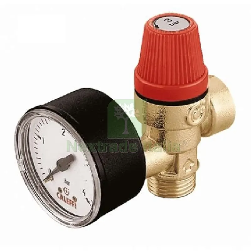 VALVOLA DI SICUREZZA ORDINARIA MF C/MANOMETRO 1/2 - 6 Bar — Rubinetti e valvole — rif. FERX.DIA323-314-460 VALVOLA DI SICUREZZA ORDINARIA MF C/MANOMETRO 1/2 - 6 Bar — Rubinetti e valvole — rif. FERX.DIA323-314-460