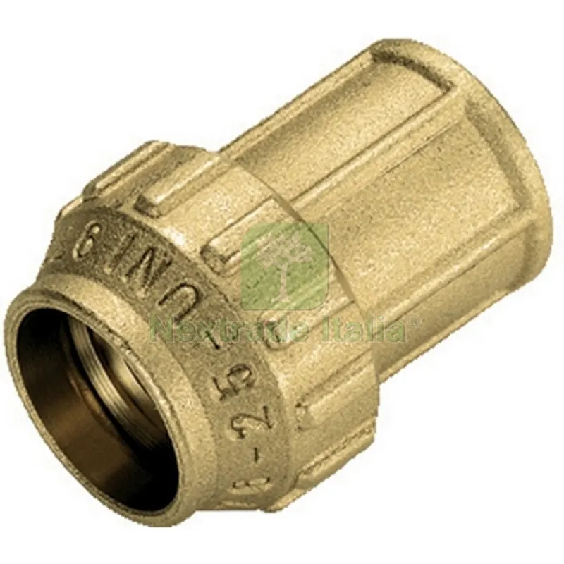 RACCORDO DIRITTO FEMMINA IN OTTONE TIEMME 1/2" x 20 — Tubi e raccordi — rif. FERX.DIA332-T3462CR-0420 RACCORDO DIRITTO FEMMINA IN OTTONE TIEMME 1/2" x 20 — Tubi e raccordi — rif. FERX.DIA332-T3462CR-0420