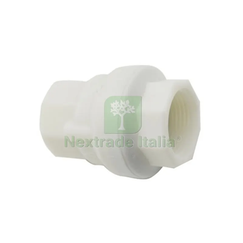 VALVOLA DI RITEGNO 1" — Rubinetti e valvole — rif. FERX.DIA333-B0200700-06