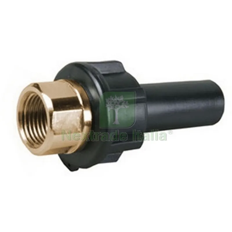 RACCORDO DI TRANSIZIONE FILETTATO FEMMINA 1" 1/4 x 40 — Tubi e raccordi — rif. FERX.DIA334-P103-0740 RACCORDO DI TRANSIZIONE FILETTATO FEMMINA 1" 1/4 x 40 — Tubi e raccordi — rif. FERX.DIA334-P103-0740