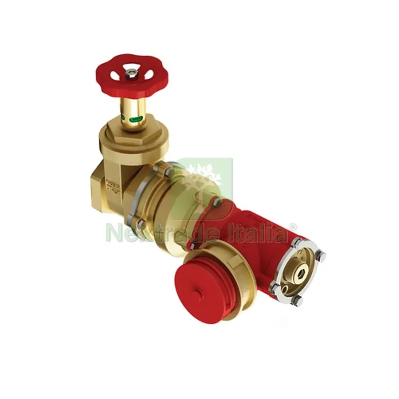 GRUPPO AUTOPOMPA COMPACT 360 2"1/2 x 1 — Tubi e raccordi — rif. FERX.DIA350-7864-11 GRUPPO AUTOPOMPA COMPACT 360 2"1/2 x 1 — Tubi e raccordi — rif. FERX.DIA350-7864-11