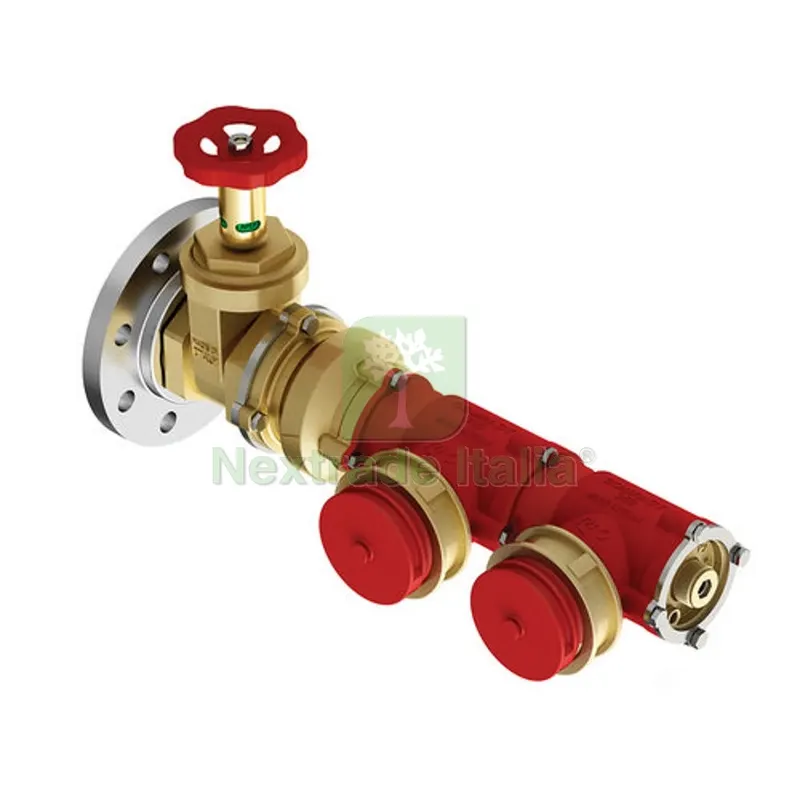 GRUPPO AUTOPOMPA COMPACT 360 FLANGIATO 2 ATTACCHI DN 80 x 2 — Tubi e raccordi — rif. FERX.DIA350-78692-080