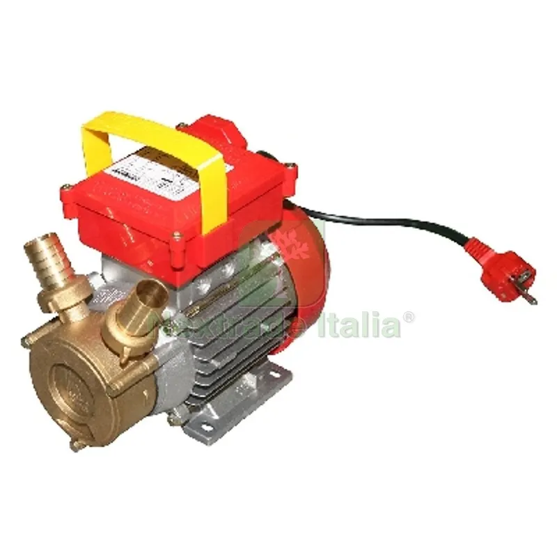 POMPA DA TRAVASO ROVER Hp 0,8 - 550 W - Racc. 25 — Vasi e fioriere — rif. FERX.DIA350-R740-08 POMPA DA TRAVASO ROVER Hp 0,8 - 550 W - Racc. 25 — Vasi e fioriere — rif. FERX.DIA350-R740-08