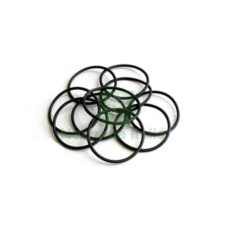 O-Ring per Filtri Acqua Mignon — Guarnizioni e tenute — rif. FERX.DIA353-0980-M