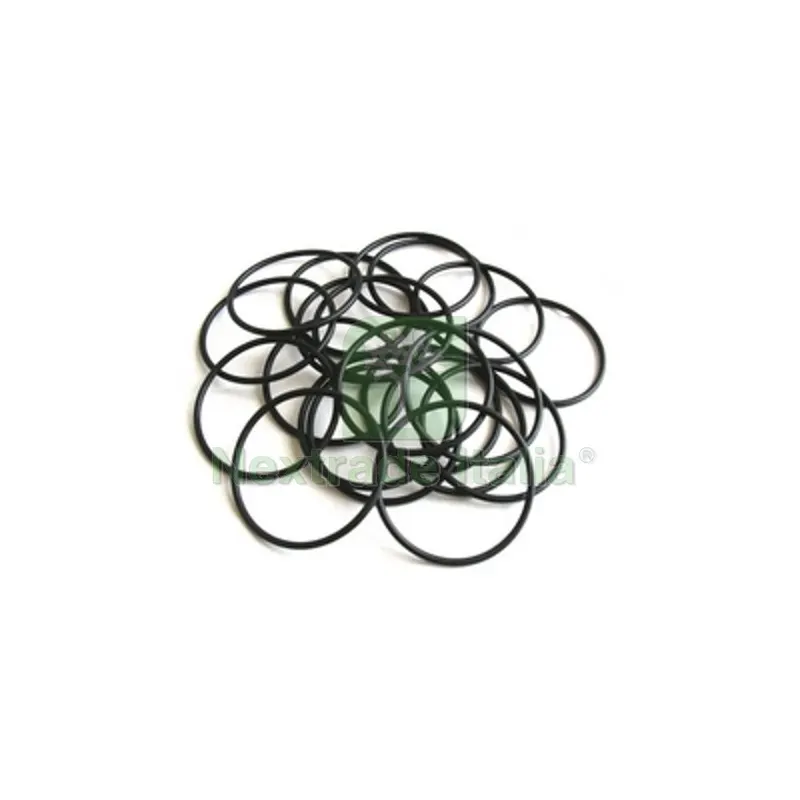 O-Ring per Dosatore Proporzionale in Polvere Dosaplus — Guarnizioni e tenute — rif. FERX.DIA353-0981 O-Ring per Dosatore Proporzionale in Polvere Dosaplus — Guarnizioni e tenute — rif. FERX.DIA353-0981