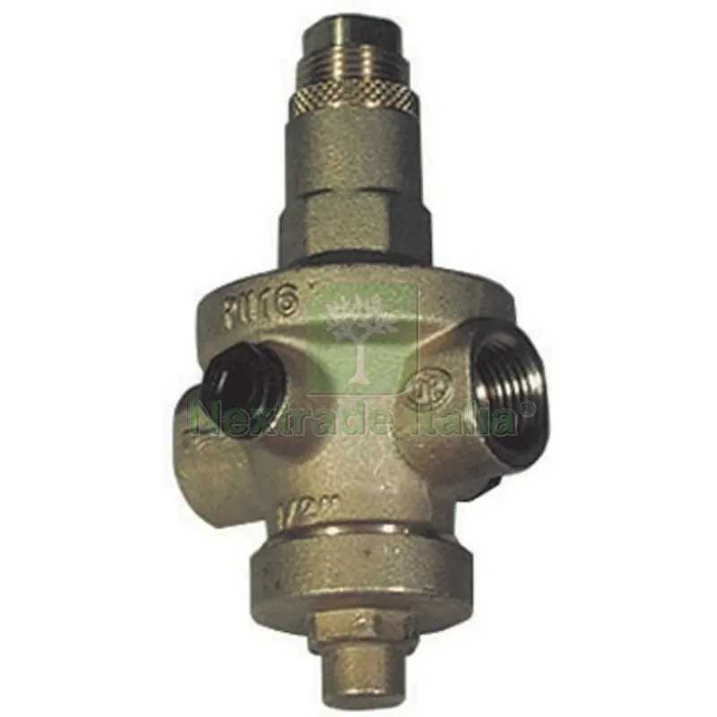 RIDUTTORE DI PRESSIONE RIO EXPORT SEDE IN ACCIAIO INOX (OR) 1/2 — Rubinetti e valvole — rif. FERX.DIA354-189-04