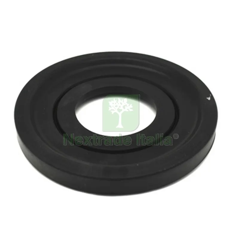 Guarnizione per Flangia Bullonata - — Guarnizioni e tenute — rif. FERX.DIA401-XR65111788