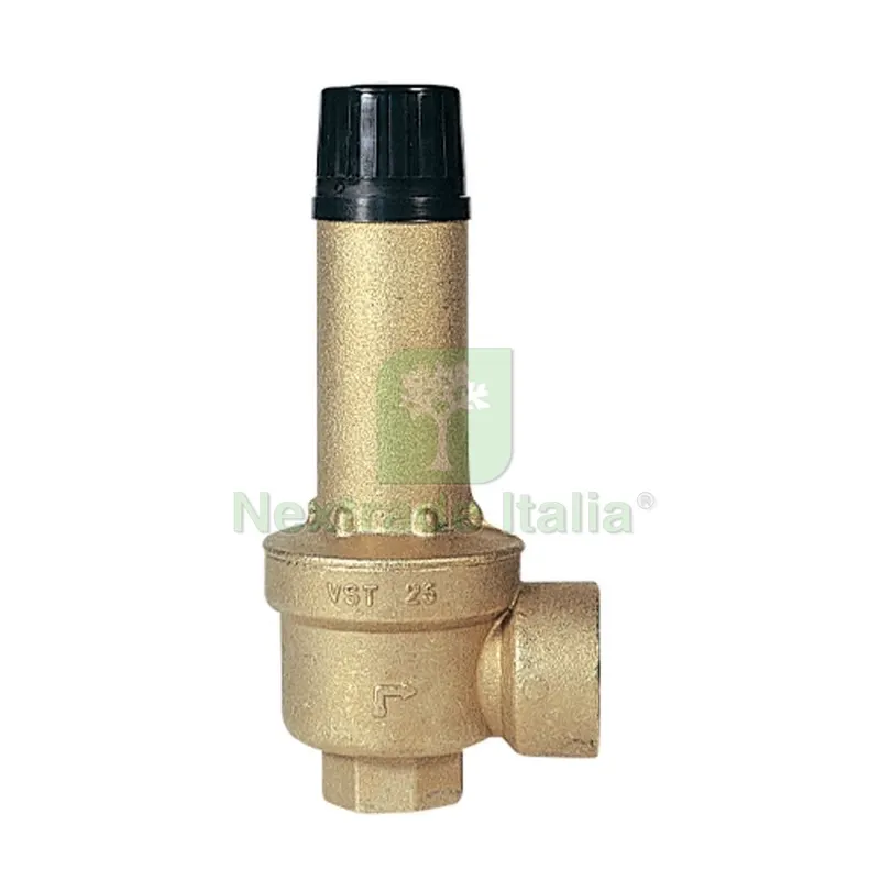 VALVOLA DI SICUREZZA A MEMBRANA VST FF TARATA INAIL EX ISPESL 3/4 x 1" 3 Bar — Rubinetti e valvole — rif. FERX.DIA411-3407-563 VALVOLA DI SICUREZZA A MEMBRANA VST FF TARATA INAIL EX ISPESL 3/4 x 1" 3 Bar — Rubinetti e valvole — rif. FERX.DIA411-3407-563