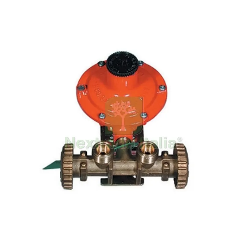 Mini-Centralina GAS con Regolatore 2202 Senza Manichette kg. / h 7 — Interruttori e prese — rif. FERX.DIA420-540