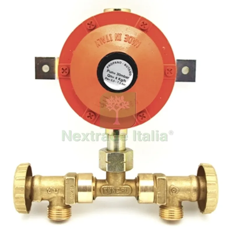 Mini-Centralina con Regolatore Senza Flessibili 4 KG 4 Kg/h — Interruttori e prese — rif. FERX.DIA420-5412
