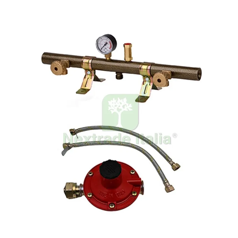 CENTRALINA GAS TUBOLARE 2 ELEMENTI CON MANOMETRO VALVOLA E FLESSIBILE 2 att. — Rubinetti e valvole — rif. FERX.DIA420-F2103FR-02 CENTRALINA GAS TUBOLARE 2 ELEMENTI CON MANOMETRO VALVOLA E FLESSIBILE 2 att. — Rubinetti e valvole — rif. FERX.DIA420-F2103FR-02