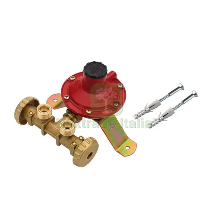 MINICENTRALINA PER 2 BOMBOLE Mod. LPZ 4 4 kg/h — Interruttori e prese — rif. FERX.DIA420-F2200-02 MINICENTRALINA PER 2 BOMBOLE Mod. LPZ 4 4 kg/h — Interruttori e prese — rif. FERX.DIA420-F2200-02