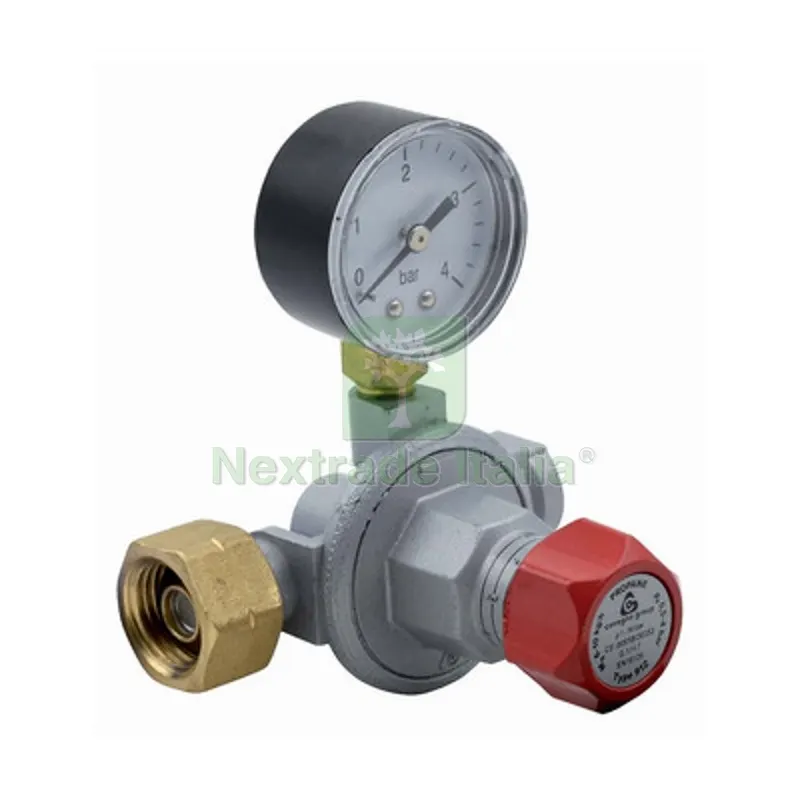 RIDUTTORE GPL/PROPANO ALTA PRESSIONE PRIMO STADIO10 KG/H 10 Kg/h — Pompe — rif. FERX.DIA421-646 RIDUTTORE GPL/PROPANO ALTA PRESSIONE PRIMO STADIO10 KG/H 10 Kg/h — Pompe — rif. FERX.DIA421-646